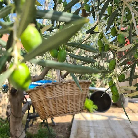 La Parenthese Lejlighed Thuir